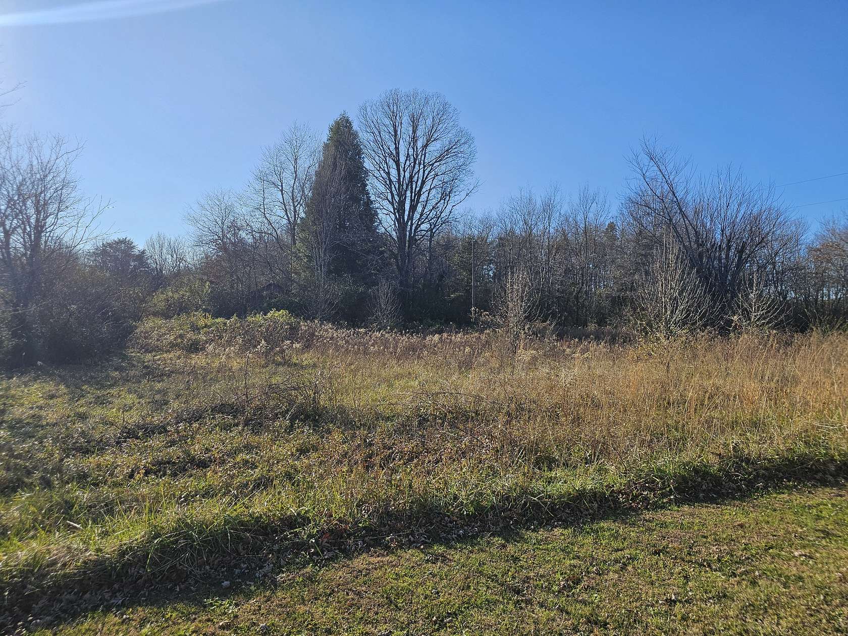 17.3 Acres of Agricultural Land for Sale in Hillsboro, Tennessee