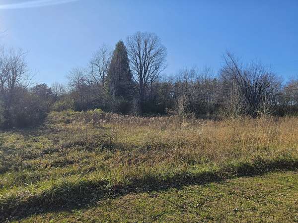 17.3 Acres of Agricultural Land for Sale in Hillsboro, Tennessee