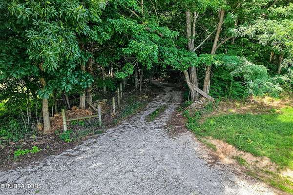 28 Acres of Land for Sale in Quebeck, Tennessee