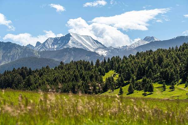 284 Acres of Land for Sale in Wilsall, Montana