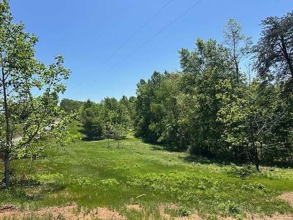 81.3 Acres of Recreational & Residential Land for Sale in Breeding, Kentucky