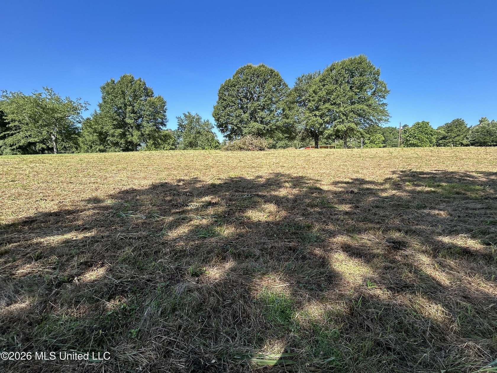 11.8 Acres of Land for Sale in Summit, Mississippi