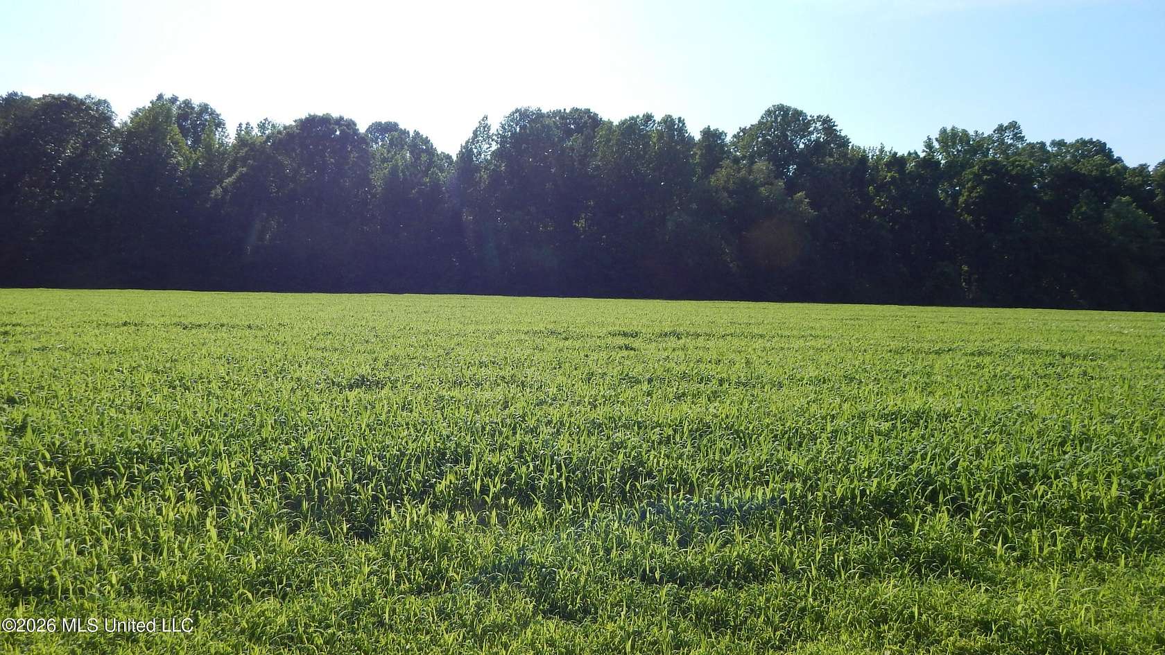 2 Acres of Land for Sale in Bruce, Mississippi