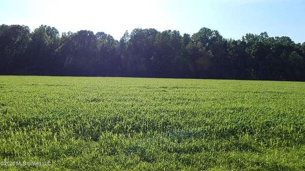 2 Acres of Land for Sale in Bruce, Mississippi