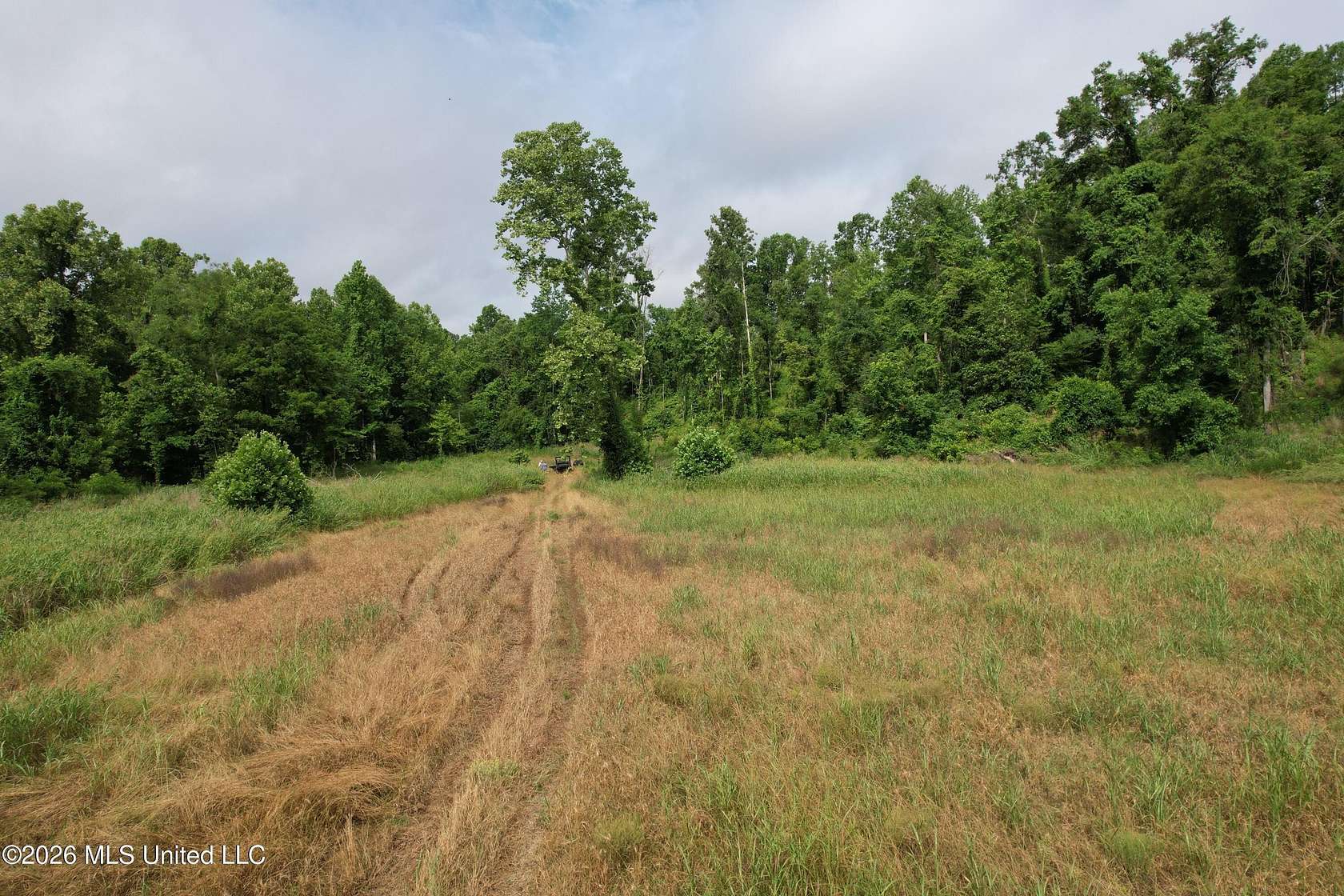 295 Acres of Recreational & Residential Land for Sale in Vicksburg, Mississippi
