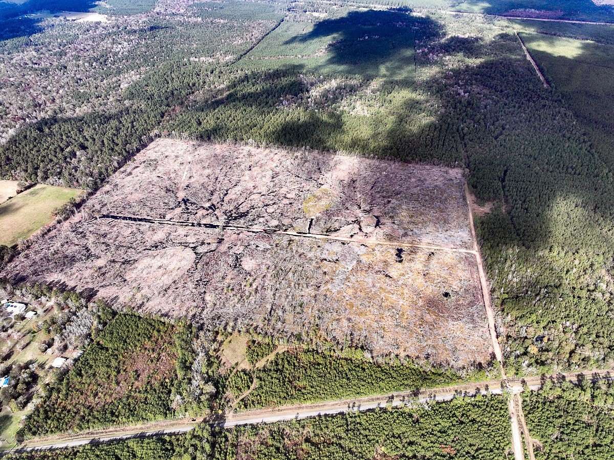 113 Acres of Recreational Land for Sale in Kountze, Texas