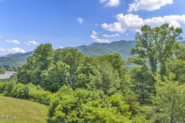 3.32 Acres of Residential Land for Sale in Butler, Tennessee