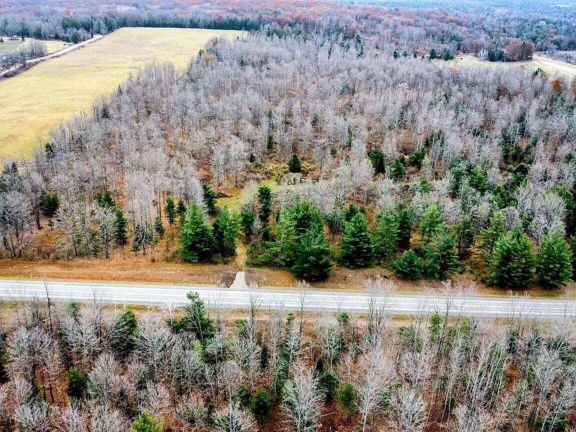 38.8 Acres of Recreational Land for Sale in Curran, Michigan