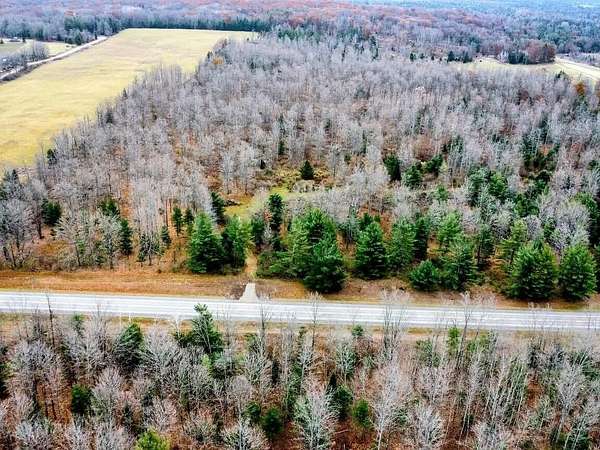 38.8 Acres of Recreational Land for Sale in Curran, Michigan