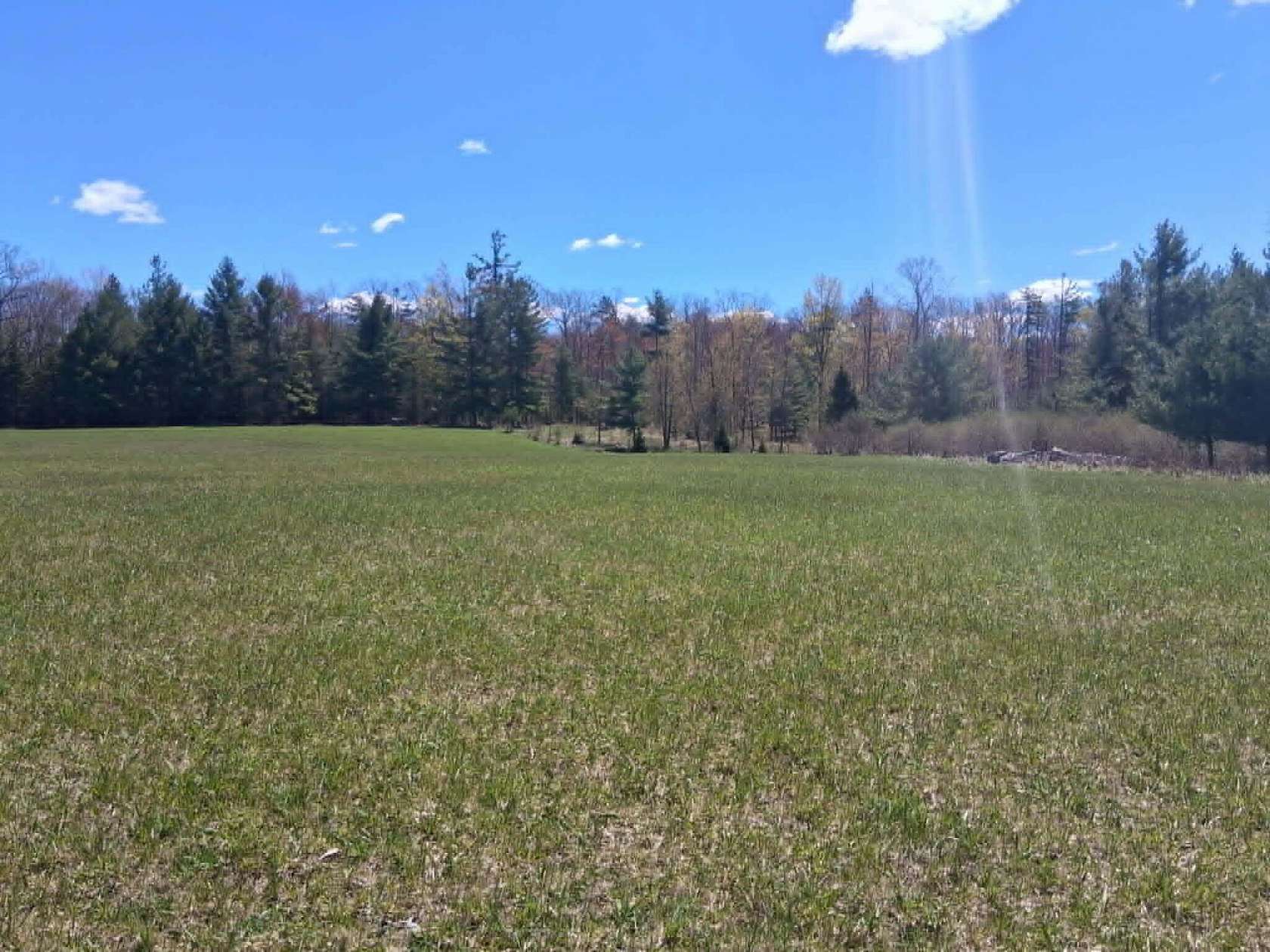 26.2 Acres of Land for Sale in Curran, Michigan