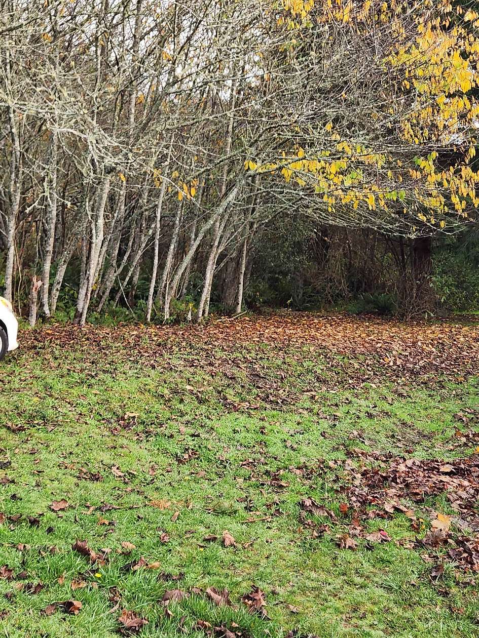 0.17 Acres of Residential Land for Sale in Crescent City, California