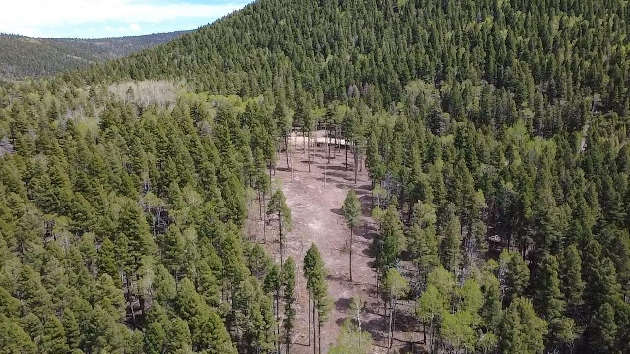 0.76 Acres of Residential Land for Sale in Angel Fire, New Mexico