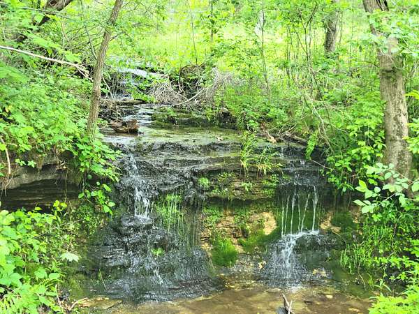 70 Acres of Recreational & Residential Land for Sale in Norwood, Missouri