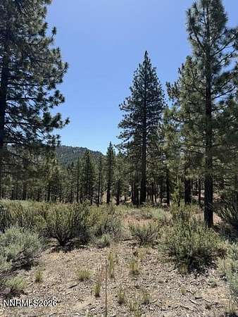 1.35 Acres of Residential Land for Sale in Carson City, Nevada