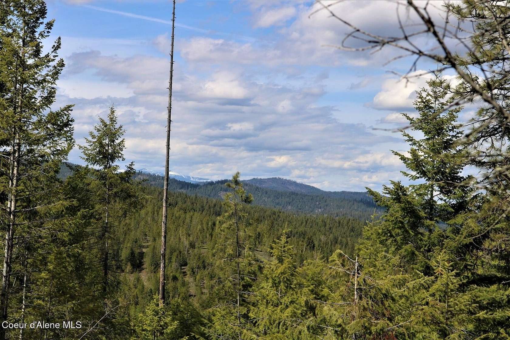 10.2 Acres of Land for Sale in Cocolalla, Idaho