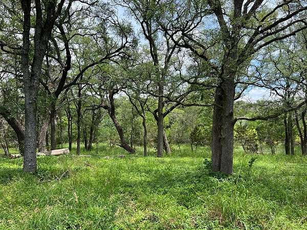 2.68 Acres of Residential Land for Sale in Blanco, Texas