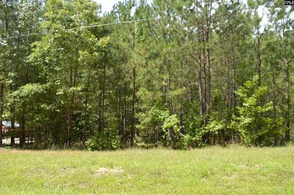0.72 Acres of Residential Land for Sale in Ridgeway, South Carolina