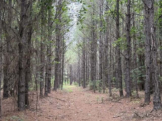97 Acres of Recreational Land for Sale in Shongaloo, Louisiana