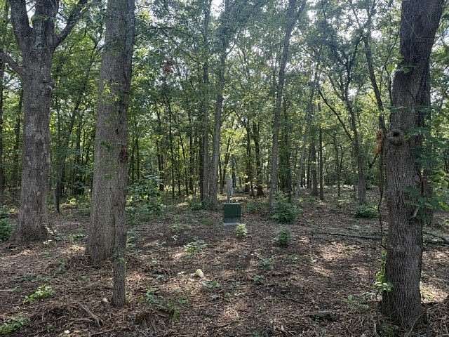 10 Acres of Land for Sale in Blossom, Texas