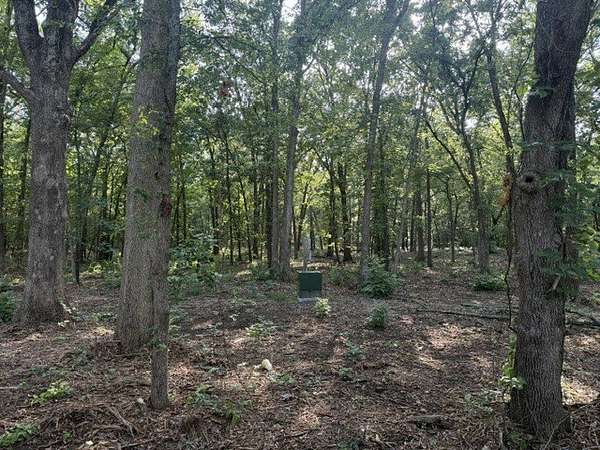 10 Acres of Land for Sale in Blossom, Texas