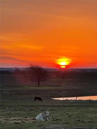 72 Acres of Improved Land for Sale in Hubbard, Texas