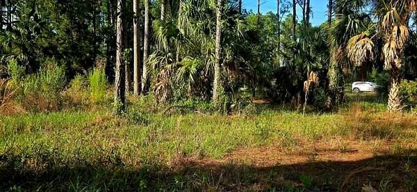 0.25 Acres of Land for Sale in Suwannee, Florida