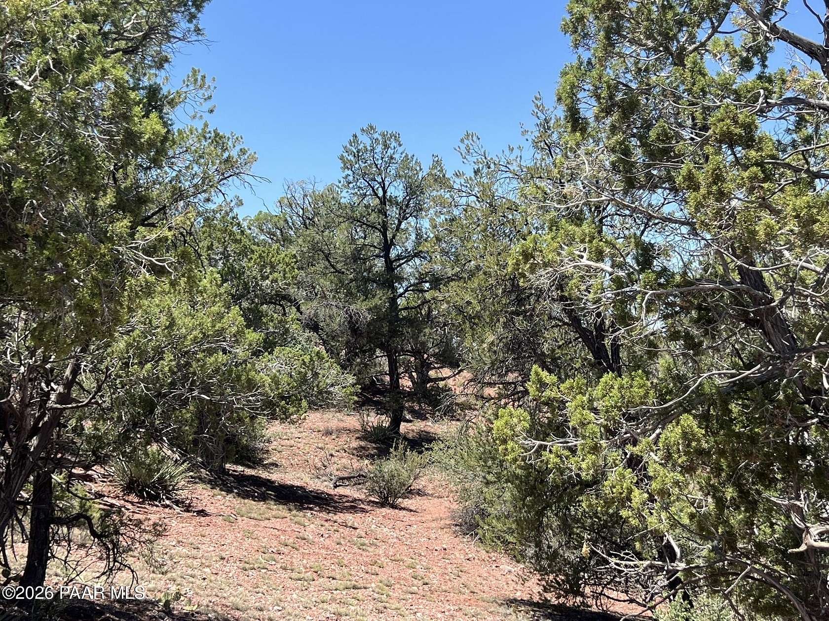 20 Acres of Land for Sale in Ash Fork, Arizona