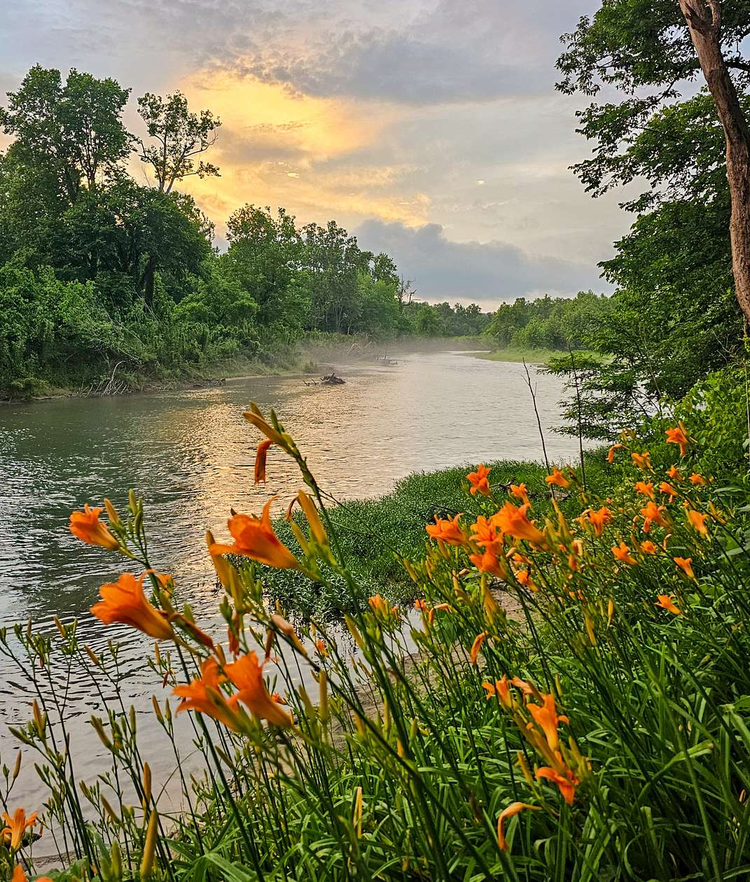 583 Acres of Land with Home for Sale in Gatewood, Missouri