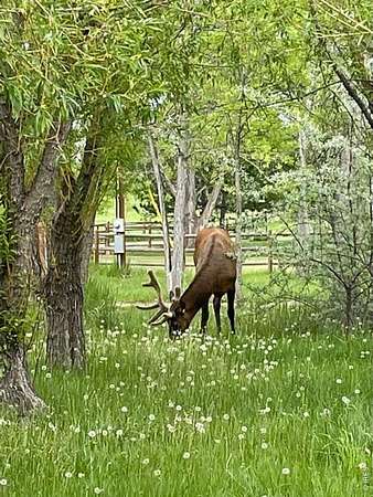 2.52 Acres of Land with Home for Sale in Loveland, Colorado