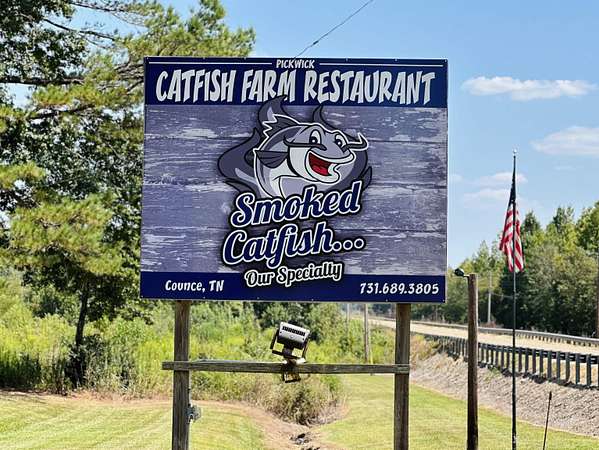 88.7 Acres of Land for Sale in Counce, Tennessee