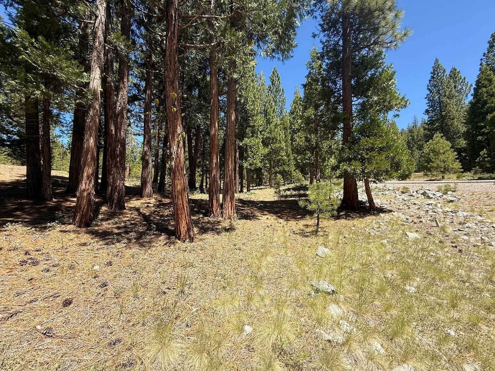 1.45 Acres of Residential Land for Sale in Portola, California