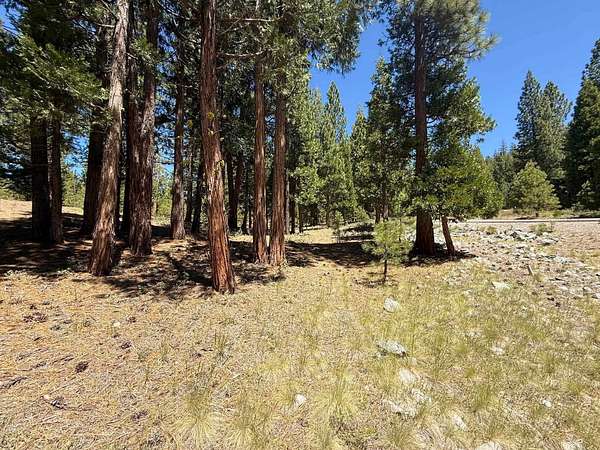 1.45 Acres of Residential Land for Sale in Portola, California