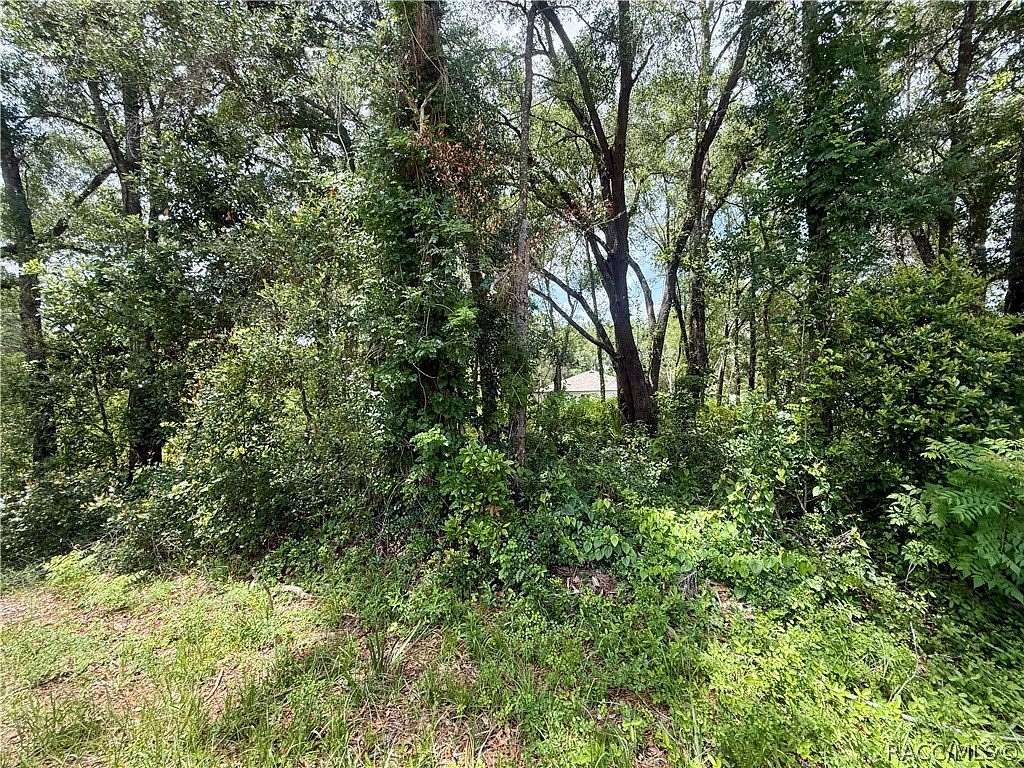 0.33 Acres of Residential Land for Sale in Inverness, Florida