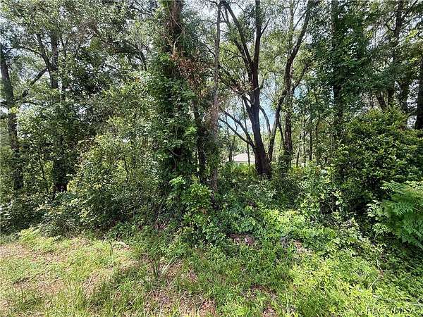 0.33 Acres of Residential Land for Sale in Inverness, Florida