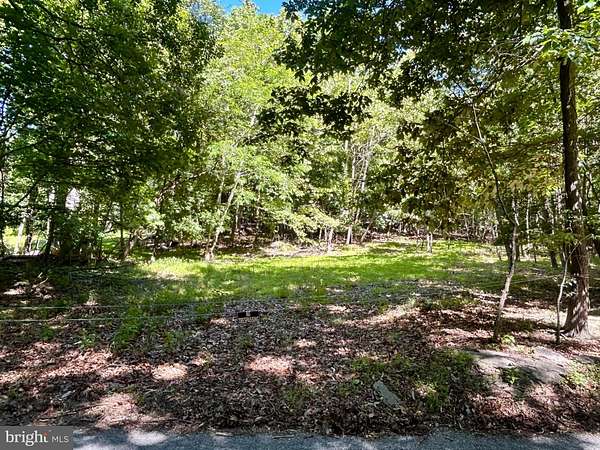 11 Acres of Land for Sale in Knoxville, Maryland