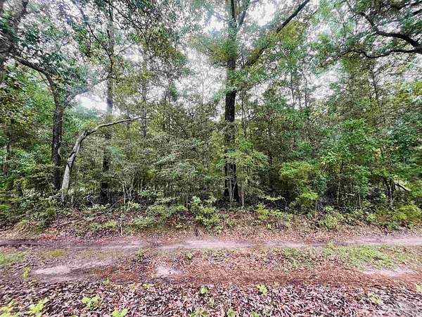 3.34 Acres of Residential Land for Sale in Milton, Florida