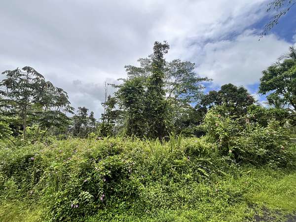 0.19 Acres of Residential Land for Sale in Pahoa, Hawaii
