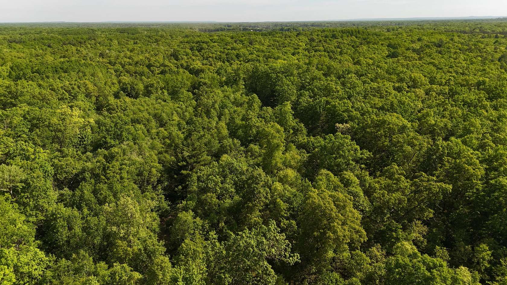 10 Acres of Recreational Land for Sale in Irons, Michigan