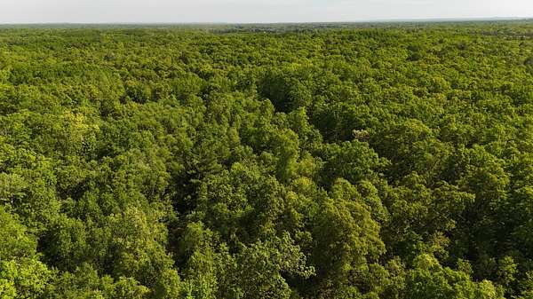 10 Acres of Recreational Land for Sale in Irons, Michigan