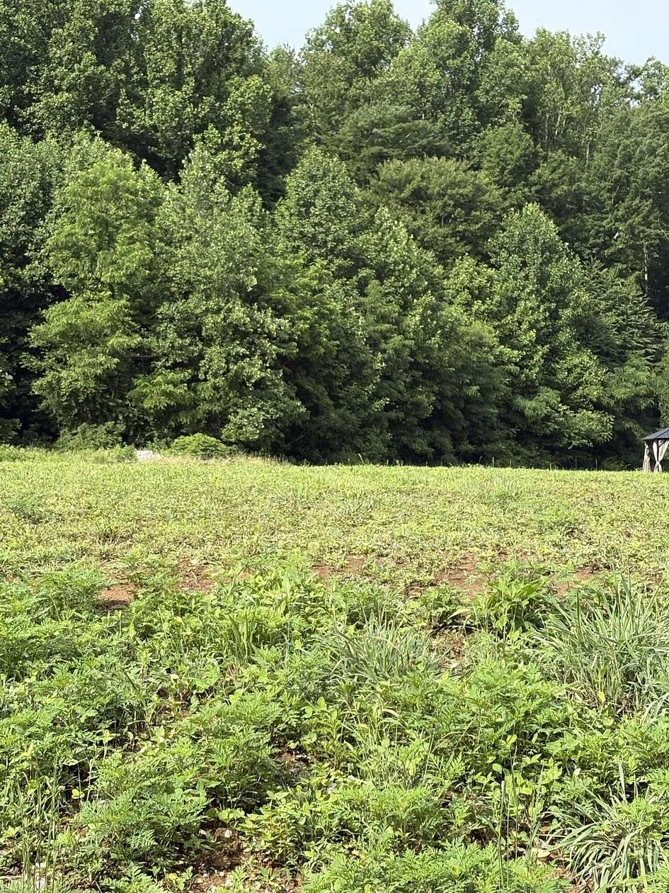 0.75 Acres of Residential Land for Sale in Cosby, Tennessee