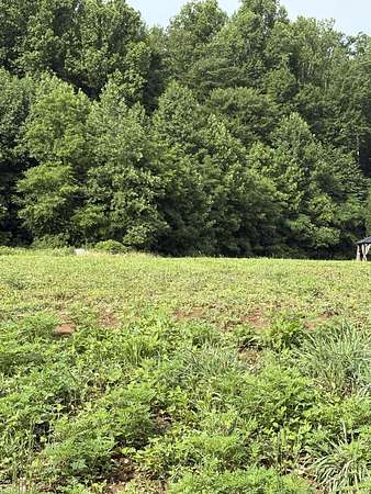 0.75 Acres of Residential Land for Sale in Cosby, Tennessee