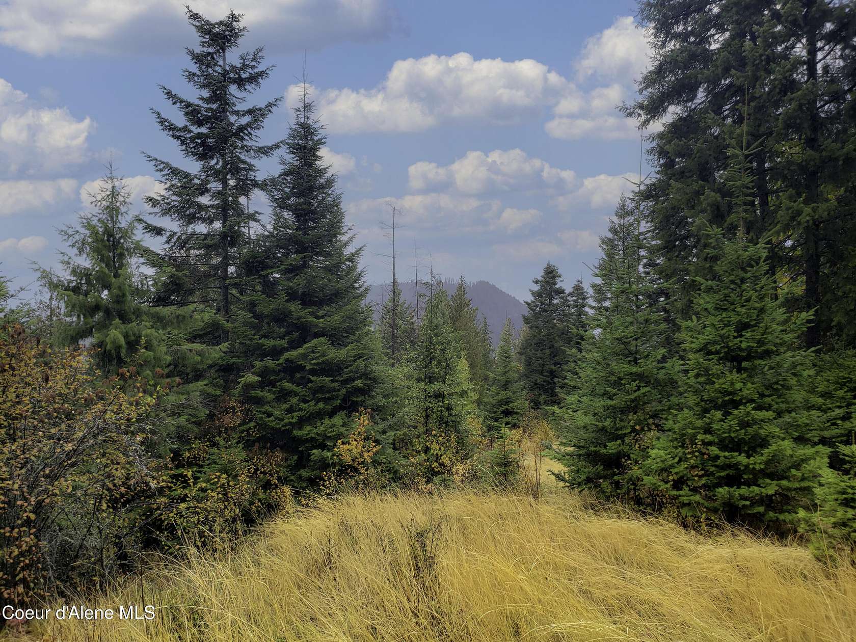 0.36 Acres of Residential Land for Sale in Sandpoint, Idaho