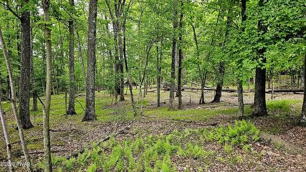 0.51 Acres of Residential Land for Sale in Hawley, Pennsylvania