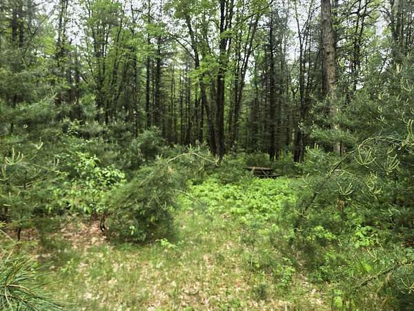 5 Acres of Land for Sale in Chase, Michigan