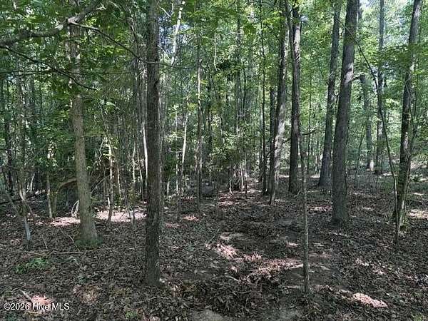 6.27 Acres of Residential Land for Sale in Thomson, Georgia