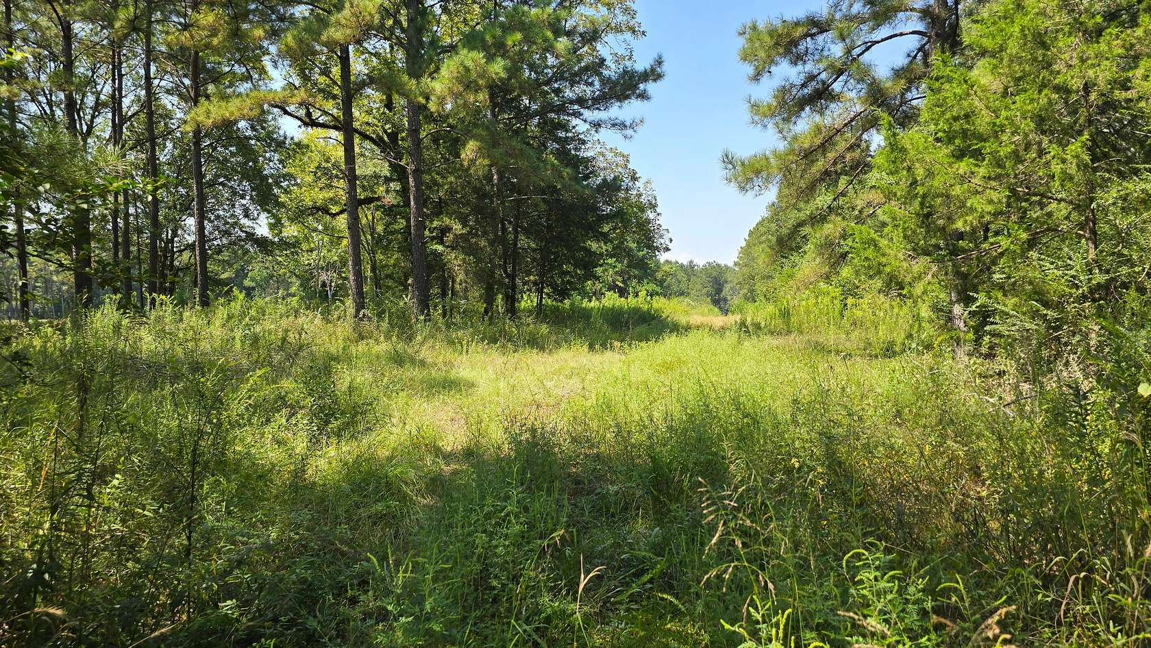3.5 Acres of Land for Sale in Brookhaven, Mississippi