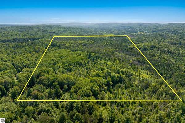 80 Acres of Recreational Land for Sale in Bellaire, Michigan