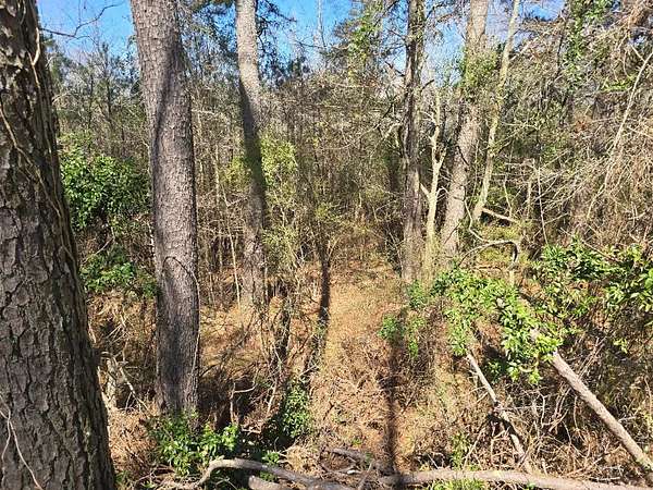 2.7 Acres of Land for Sale in Mendenhall, Mississippi