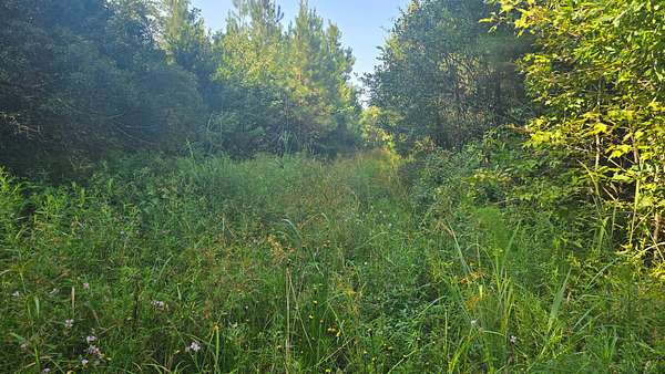 57.3 Acres of Land for Sale in Hattiesburg, Mississippi