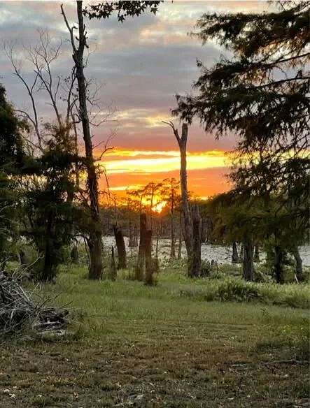 8 Acres of Land for Sale in Woodville, Mississippi